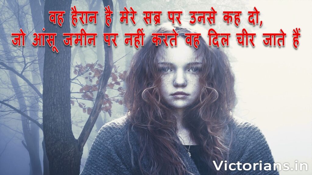 50 Plus Sad Shayari for Girls